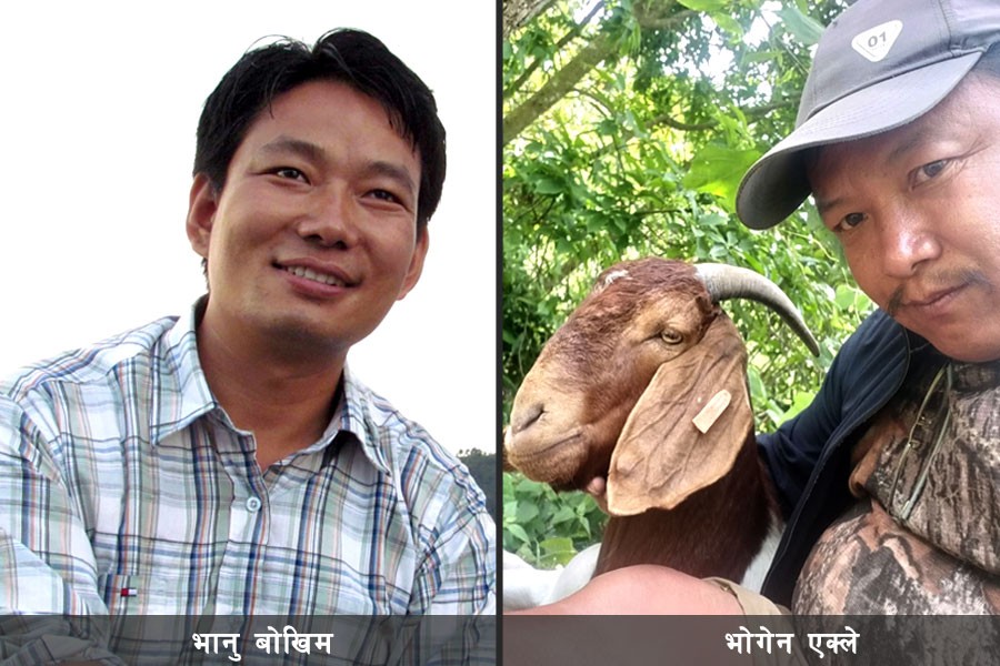 भानु बोखिम र भोगेन एक्लेका दुई कविता