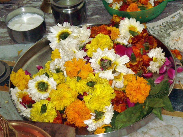 पूजापछि ओइलाएको फूल कहाँ सेलाउने ?