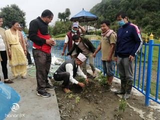 जनयुद्धमा हत्या गरिएका माओवादी नेताको स्मृतिमा बृक्षारोपण