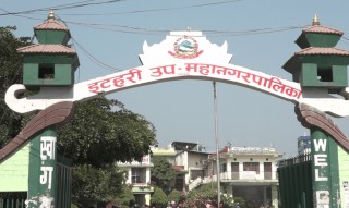 इटहरीमा थप १३ जनामा कोरोना संक्रमण पुष्टि