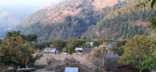 घोर्लेमा आयोजित प्रथम सुन्तला महोत्सव सम्पन्न