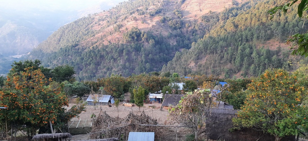 घोर्लेमा आयोजित प्रथम सुन्तला महोत्सव सम्पन्न