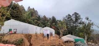 व्यसायीक तरकारी उत्पादनका लागि युवा किसान गंगाबहादुरले निर्माण गरे चार वटा हाइटेक