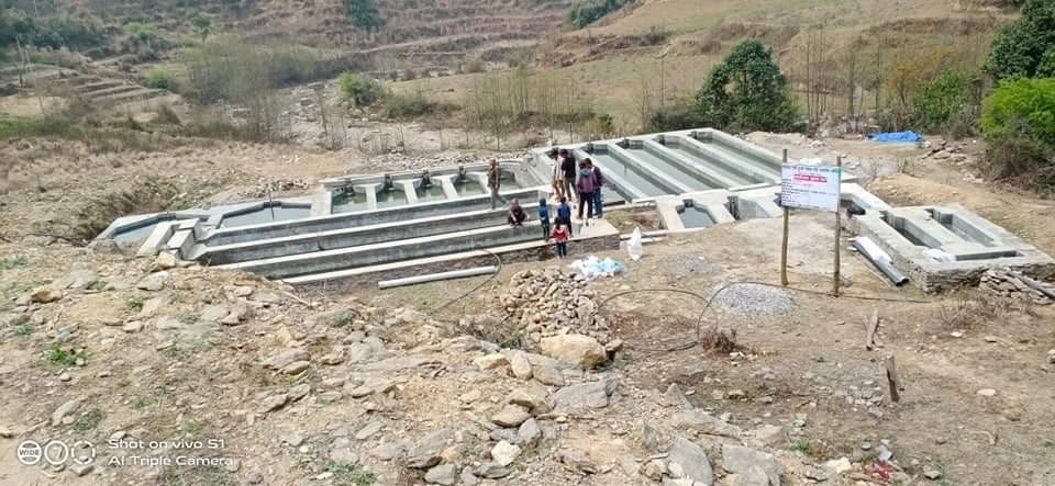 खोटाङको खिदिमामा रेम्बो ट्राउट पालन