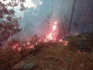 सामुदायीक वनमा भिषण डढेलो, वस्ती जोखिममा