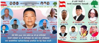 कांग्रेस नगर उपसभापतिमा एकाघरका दाजुभाईबिच चुनावी प्रतिष्पर्धा