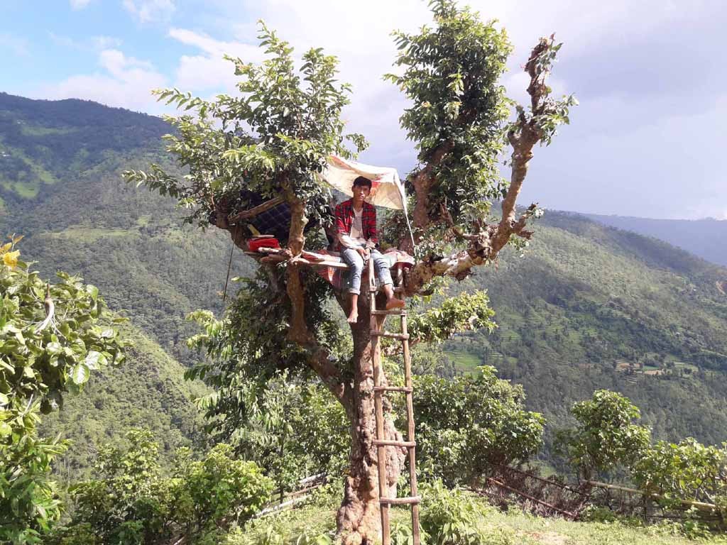 जसले खिचे टेलीकमको ध्यान...
