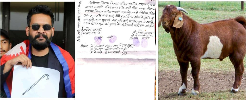 बालेनको हार जितको विषयमा दुई युवाले राखे खसीको बाजी !