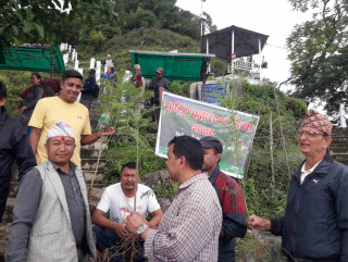 धार्मिक तथा पर्यटकीयस्थल मझुवागढीमा बृक्षारोपण