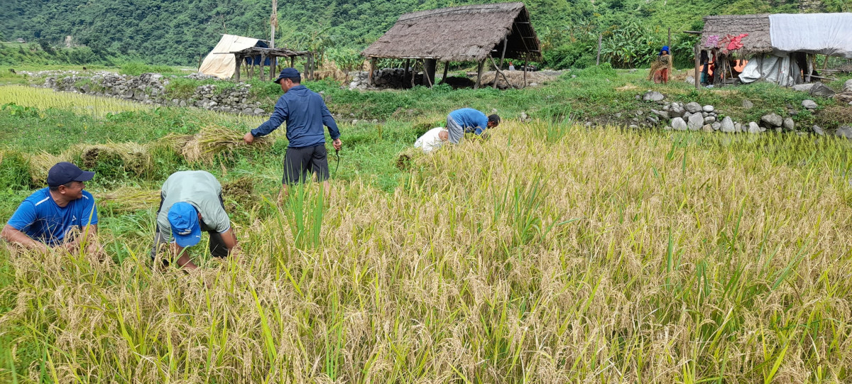 उत्पादनमा विप्लव नेतृत्वको नेता तथा कार्यकर्ता