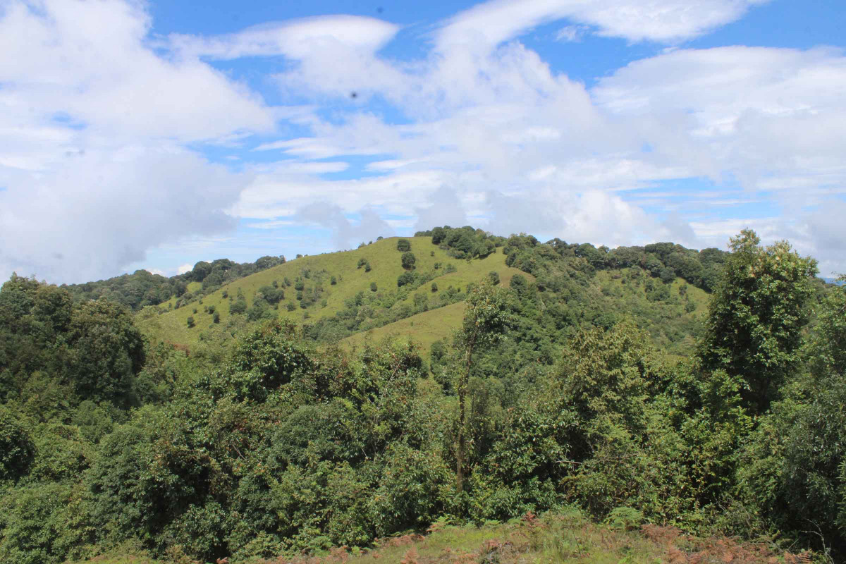 maisyangtar_khotang (1).JPG