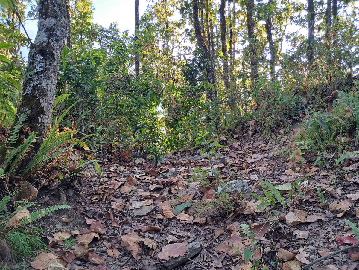primakot gadhi at houchur_khotang (2).jpg