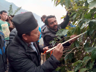 ‘बाख्रा पालन, राँगा पालन, कुखुरा पालनमा गरिएका लगानीमा खोर मात्र बाँकी छ’