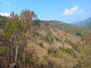 उराठीलो गाउँघर