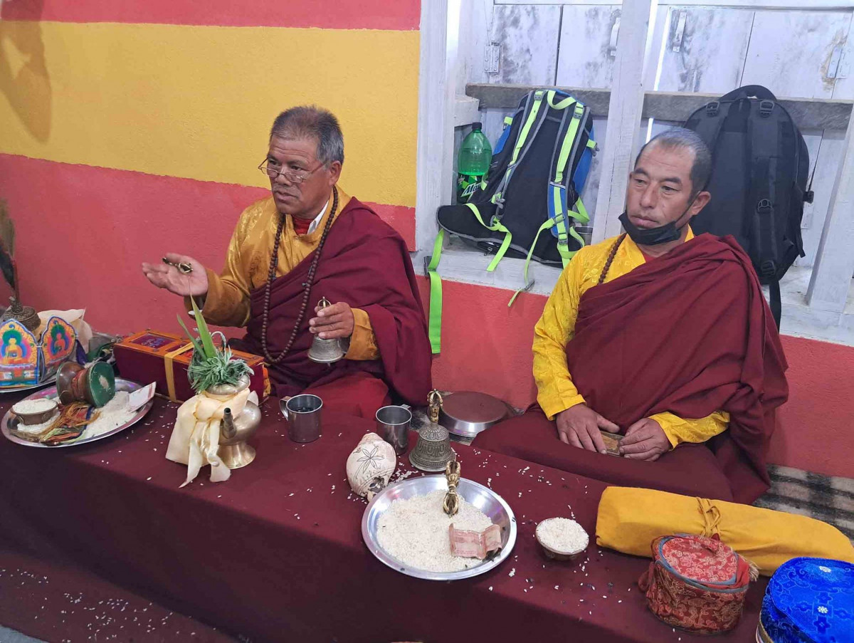 lama.jpg
