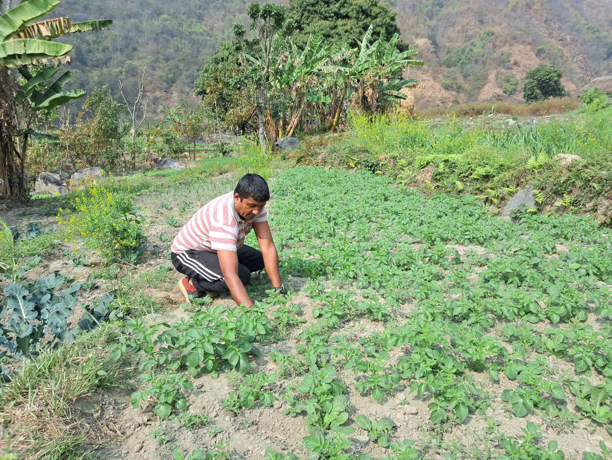 farmer & ward chairman-dolraj (2).jpg