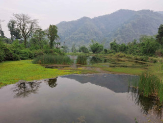 चार दशकअघि पुरिएको पञ्चकन्य पोखरीले पायो पुःनर्जीवन