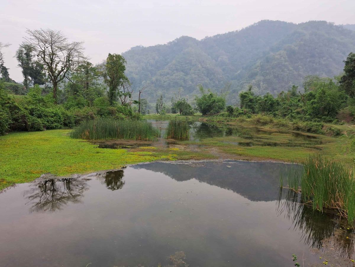 चार दशकअघि पुरिएको पञ्चकन्य पोखरीले पायो पुःनर्जीवन