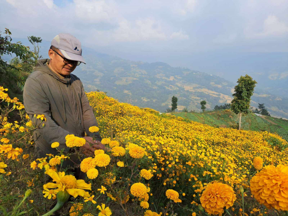 ढकमक्क फूल्यो सयपत्री (फोटो फिचर)