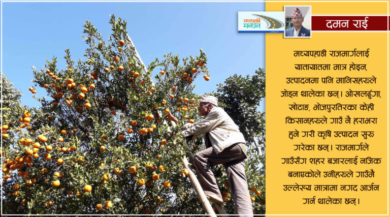 पूर्वी पहाडका किसानको समृद्धिको आधार बन्दैछ मध्यपहाडी राजमार्ग