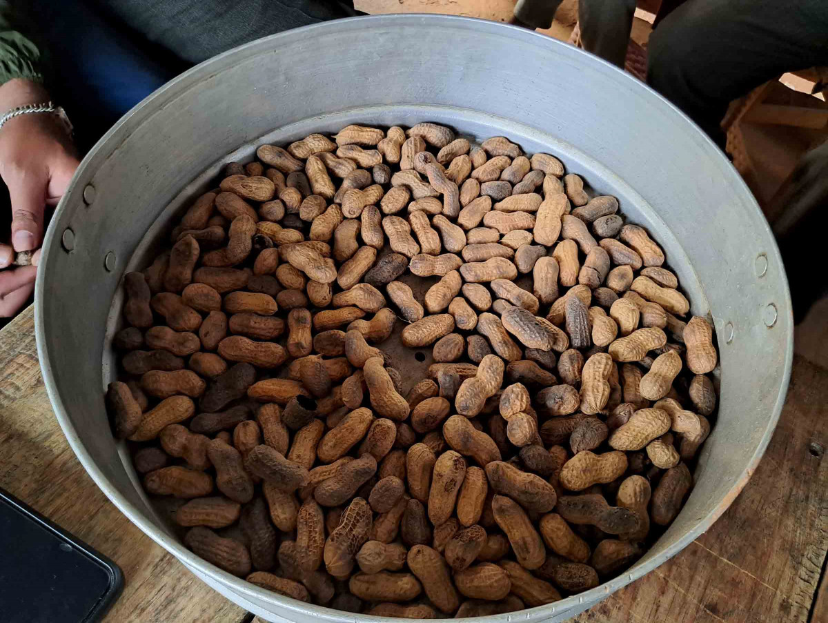 peanut production at halesi (iii).jpg