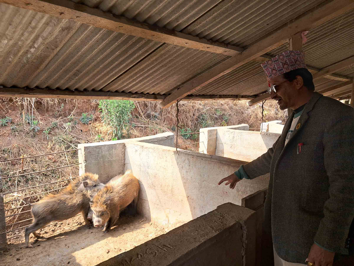 farm by dharmaraj pokhrel (iii).jpg