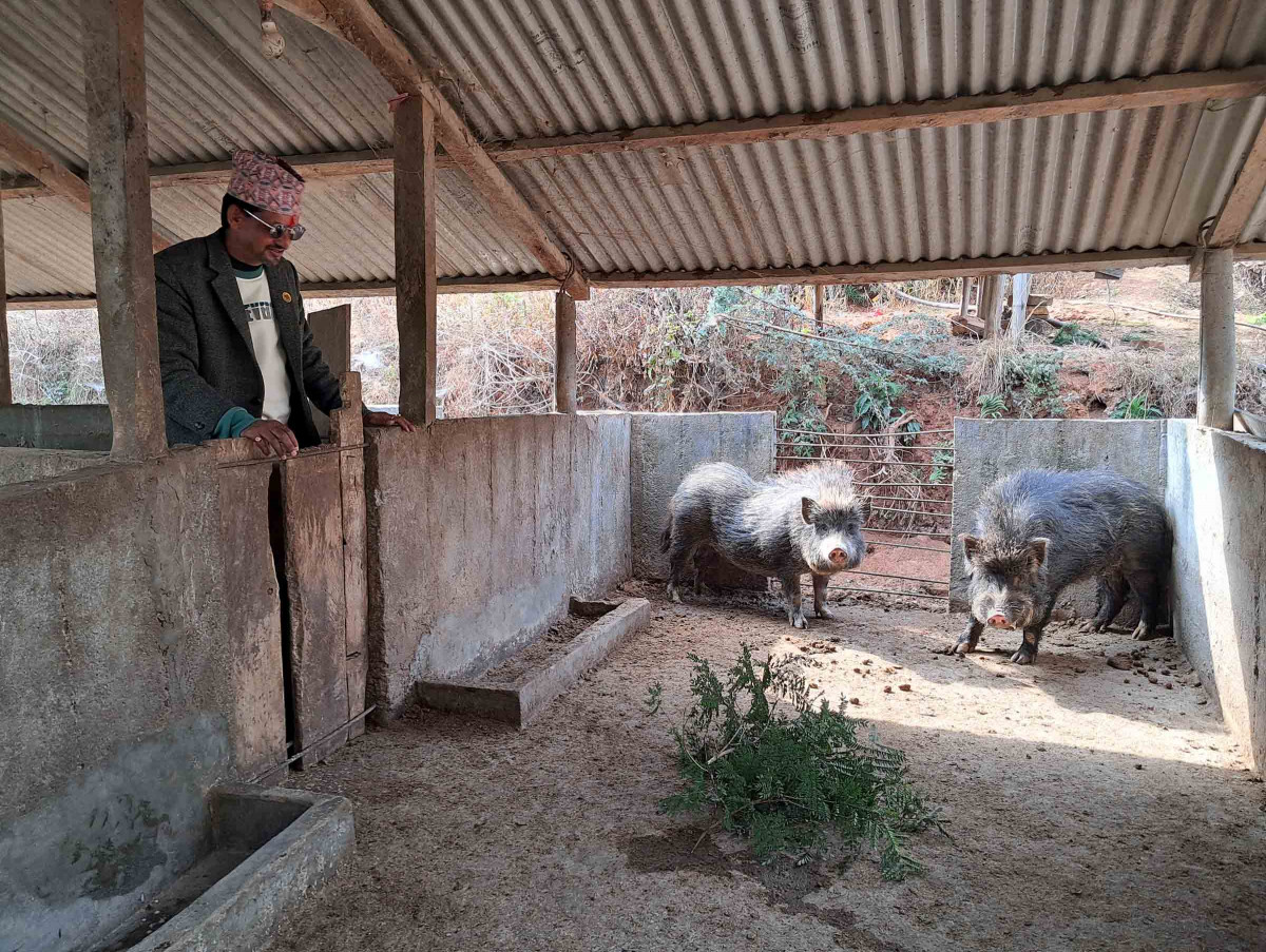 farm by dharmaraj pokhrel (iv).jpg