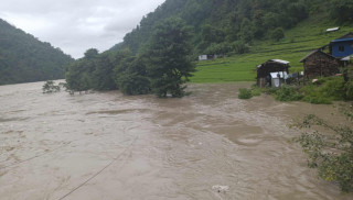 सुनकोसीमा ४० वर्ष यताकै ठूलो बाढी, बंशिलाघाटमा पाँच घर डुवायो