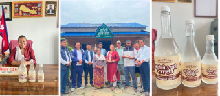 हलेसीमा चाम्लिङ सामुदायिक होम–स्टे सुरु, ब्रान्डिङ गरिएको कोदोको रक्सी बिक्रीमा